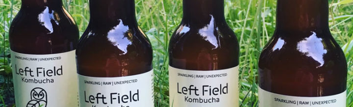 What is Kombucha?